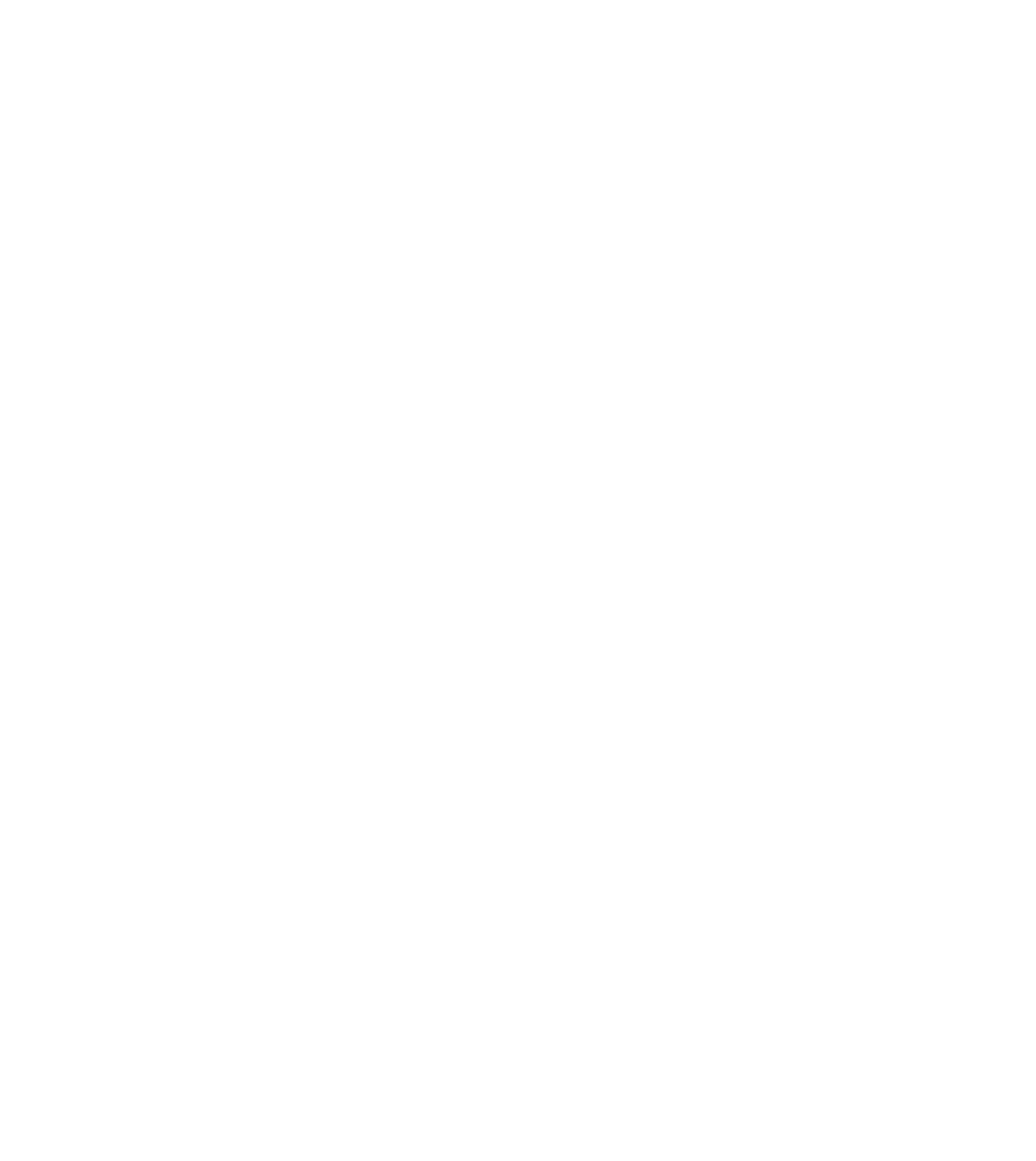 Barre & Bars copy