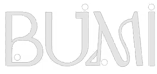 Bumi